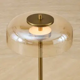 Alina Brushed Brass Table Lamp High