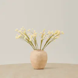 Anneli Onion Fruit Stem