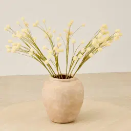 Anneli Onion Fruit Stem