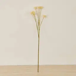 Anneli Onion Fruit Stem