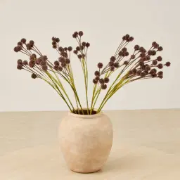 Pilar Onion Fruit Stem