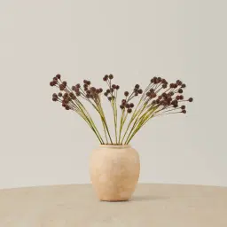 Pilar Onion Fruit Stem