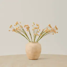 Fernanda Onion Fruit Stem