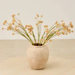 Fernanda Onion Fruit Stem