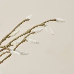 Magnolia Fruit Stem