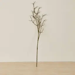 Magnolia Fruit Stem
