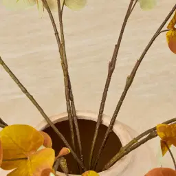 Alves Eucalyptus Stem