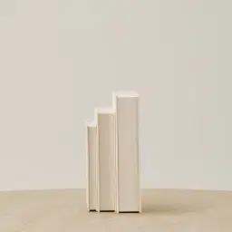 White Canvas Book Storage Box - Set of 3