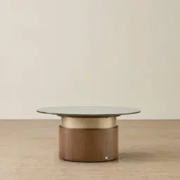 Felina Brown Oak Veneer Coffee Table with Champagne Gold Glass Top - 89x41cm