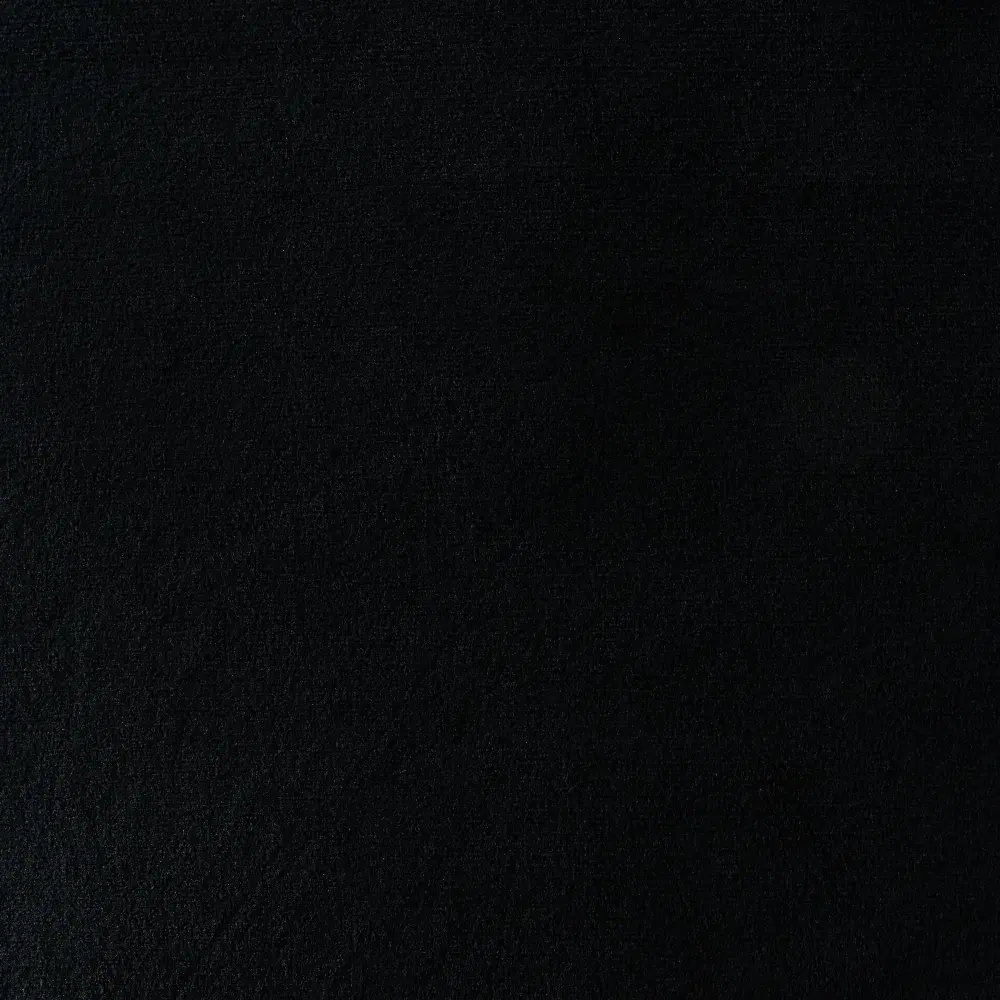 Remi II Black Velvet Cushion