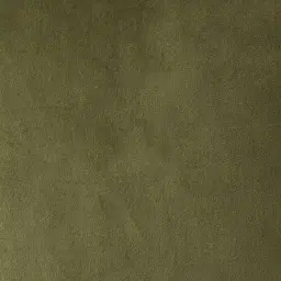 Remi II Grass Green Velvet Cushion