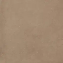 Remi II Beige Velvet Cushion