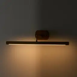 Ralph Picture Light