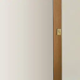 Kade Brushed Gold Oval Aluminium Mirror 180x50cm