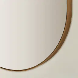 Kade Brushed Gold Oval Aluminium Mirror 180x50cm