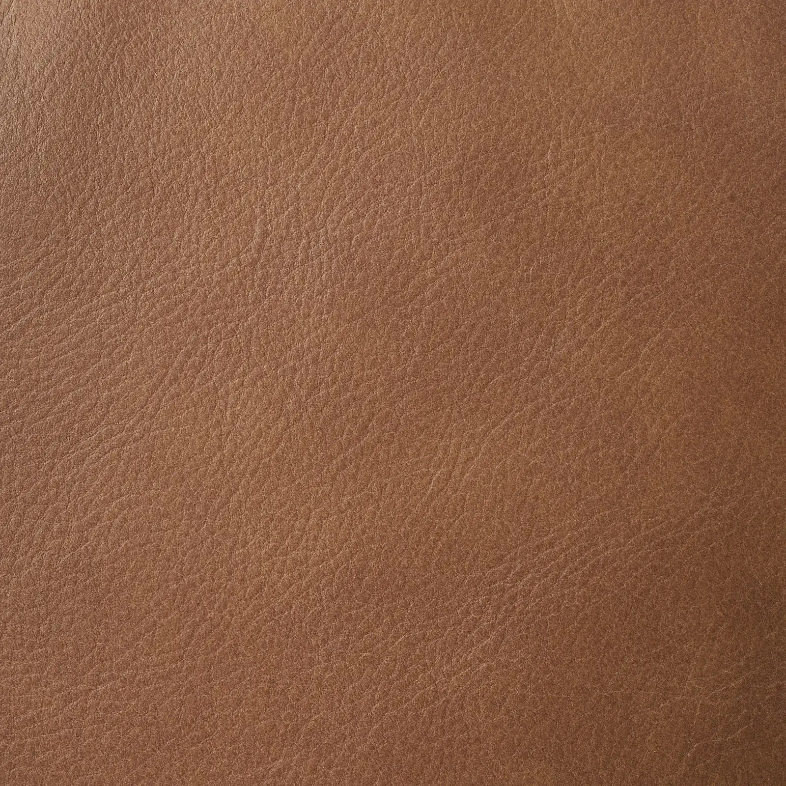 Lainey Medium Tan 4 Pieces Modular Leather Sofa