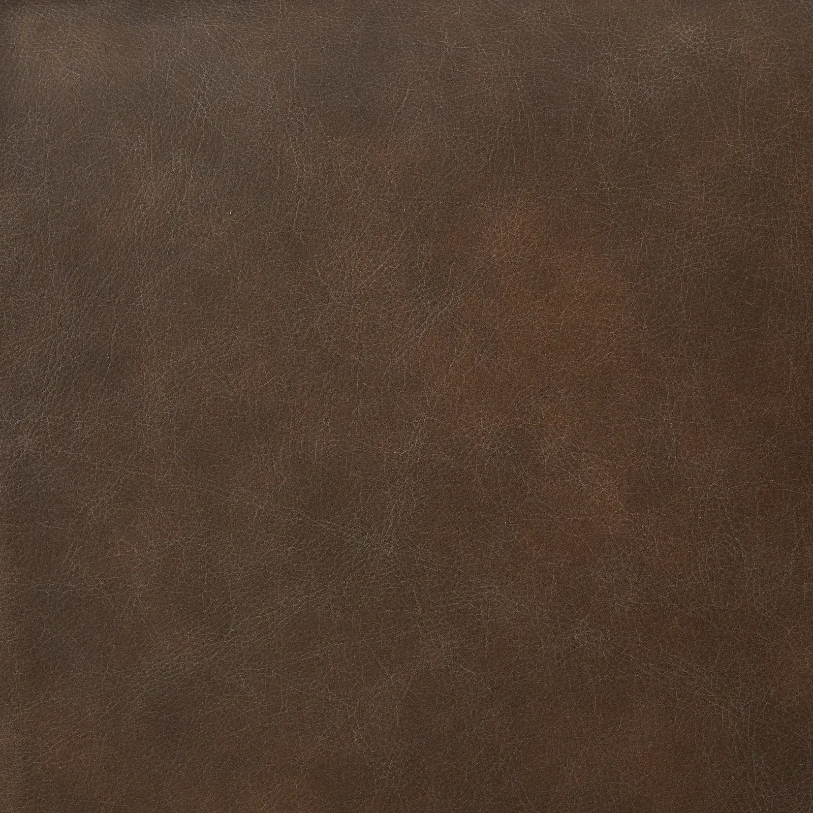 Lainey Chocolate Brown 4 Pieces Modular Leather Sofa