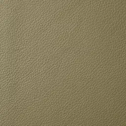 Elena Garden Green Leather 2-Seater Electric Recliner - Black Legs