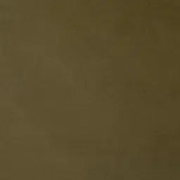 Everett Olive Green Velvet 2 Seater Sofa - Dark Brown Legs