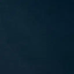 Everett Navy Blue Velvet 2 Seater Sofa - Dark Brown Legs