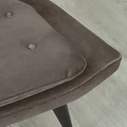 Tarrington Mushroom Velvet Occasional Chair