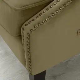 Vogue Olive Green Velvet Occasional Chair	