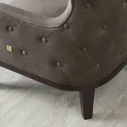 Berdine Mushroom Velvet Occasional Chair