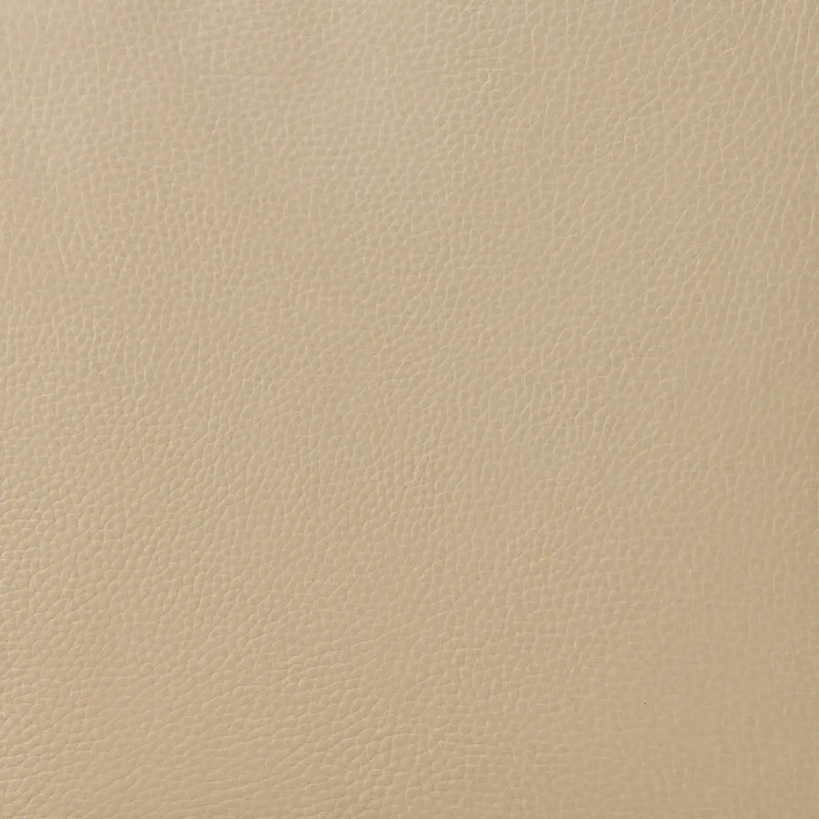 Fortitude Cream Leather 2-Seater Sofa